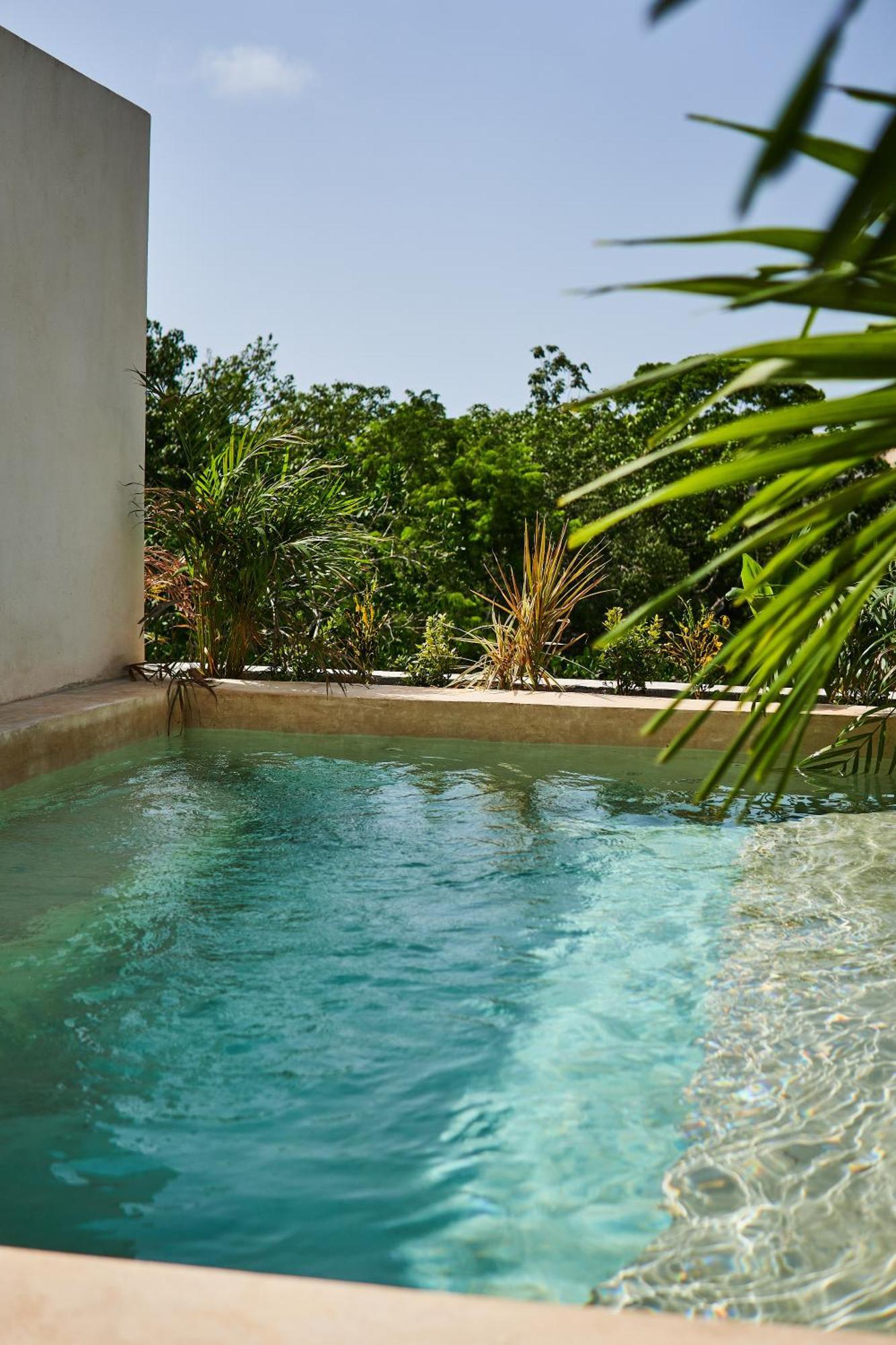 Spacious & Comfy Penthouse Oasis With Plunge Pool Tulum Bagian luar foto